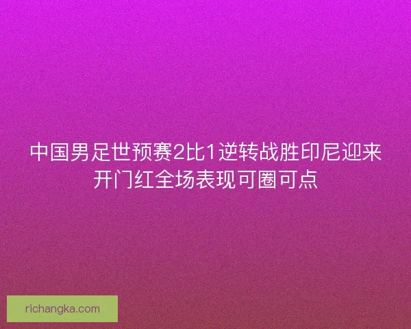 中国男足世预赛2比1逆转战胜印尼迎来开门红全场表现可圈可点